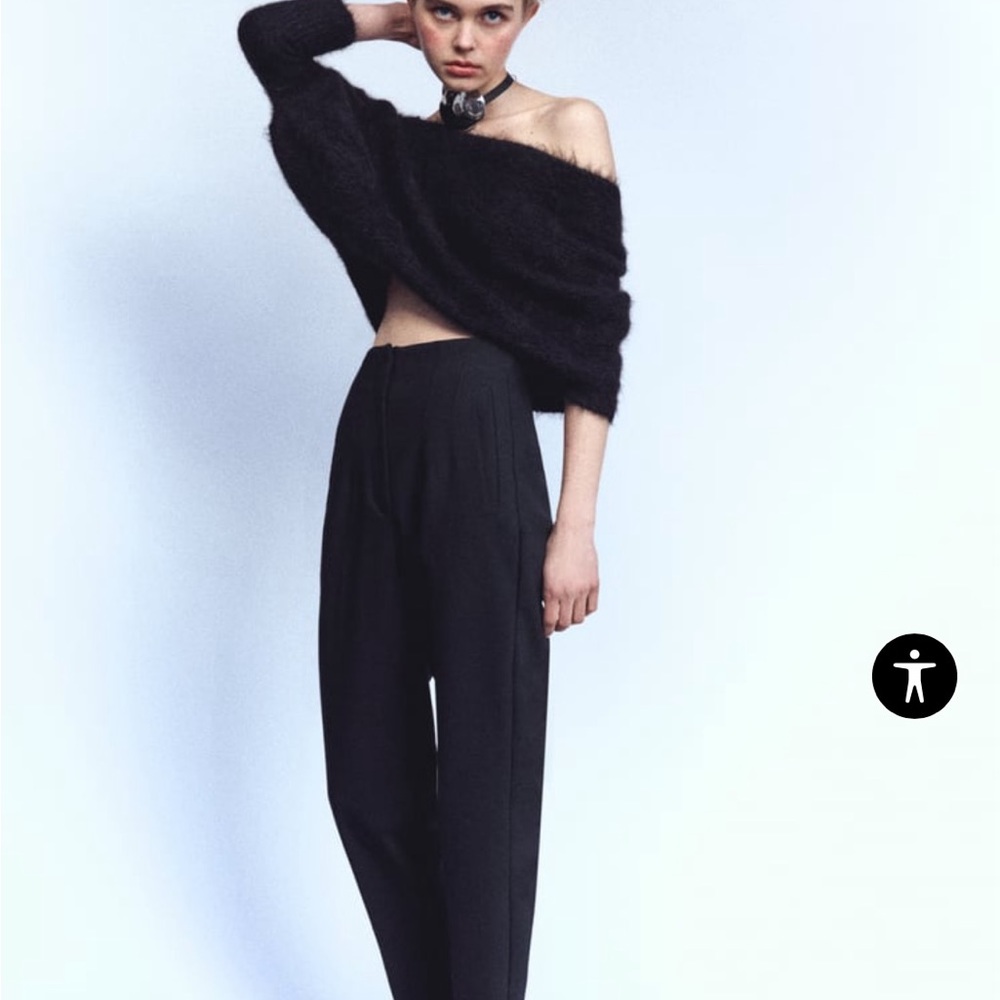 NWT Zara High Waisted Work Pants